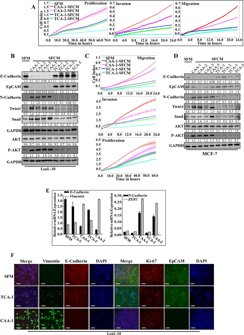 FIG 2