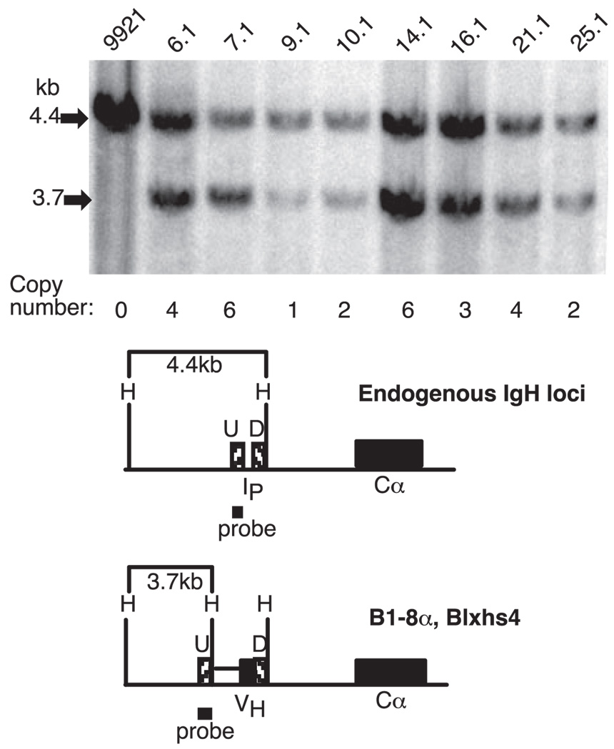 FIGURE 3