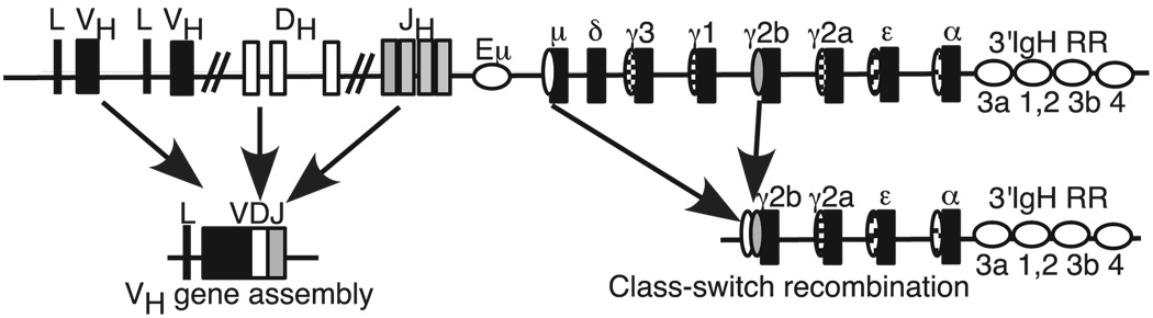 FIGURE 1