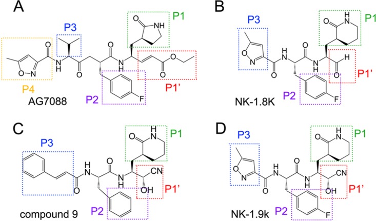 FIG 1