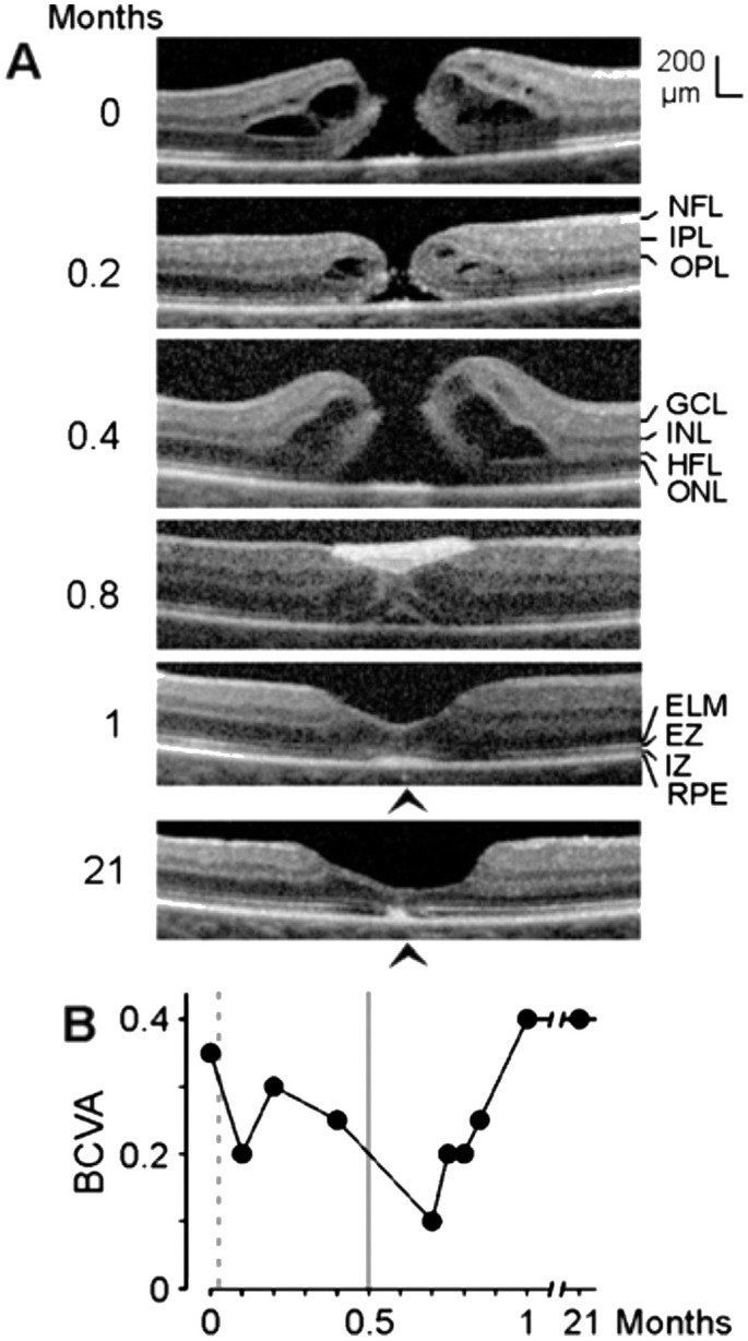 Figure 7