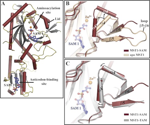 FIGURE 4.