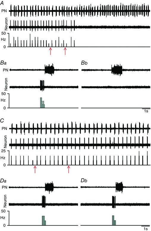 Figure 14