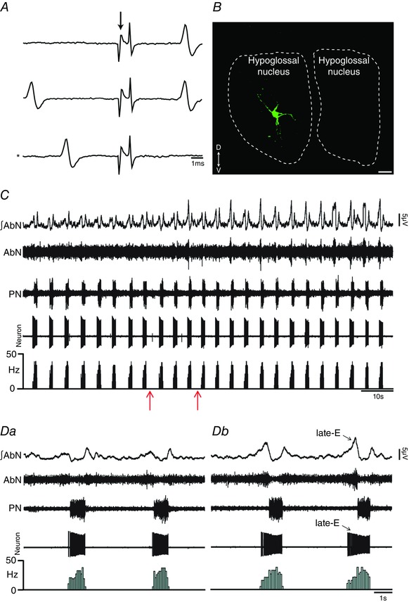 Figure 10