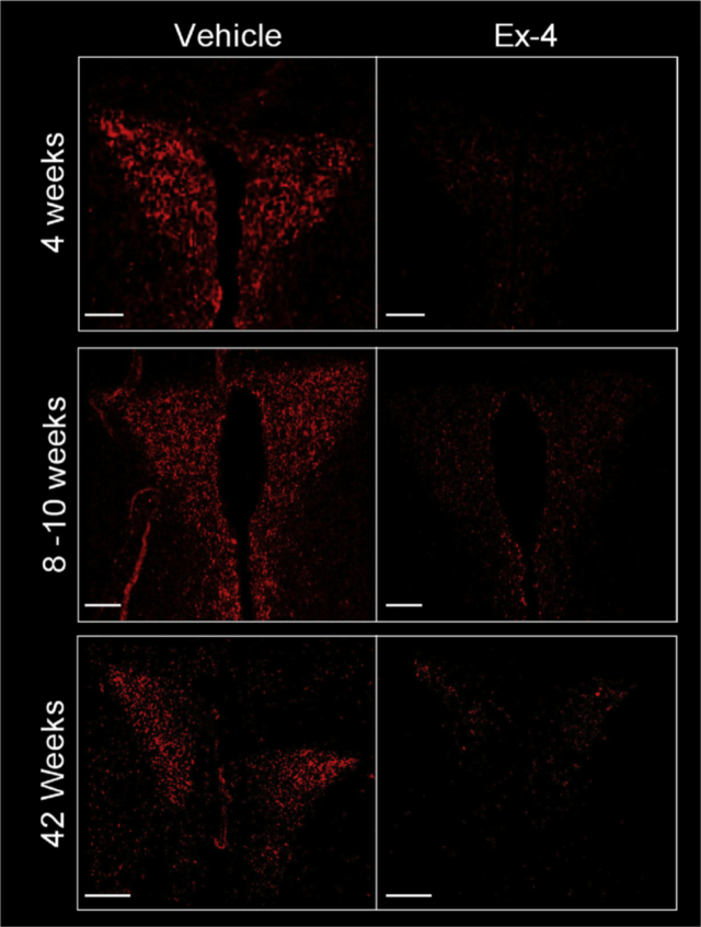 Figure 5