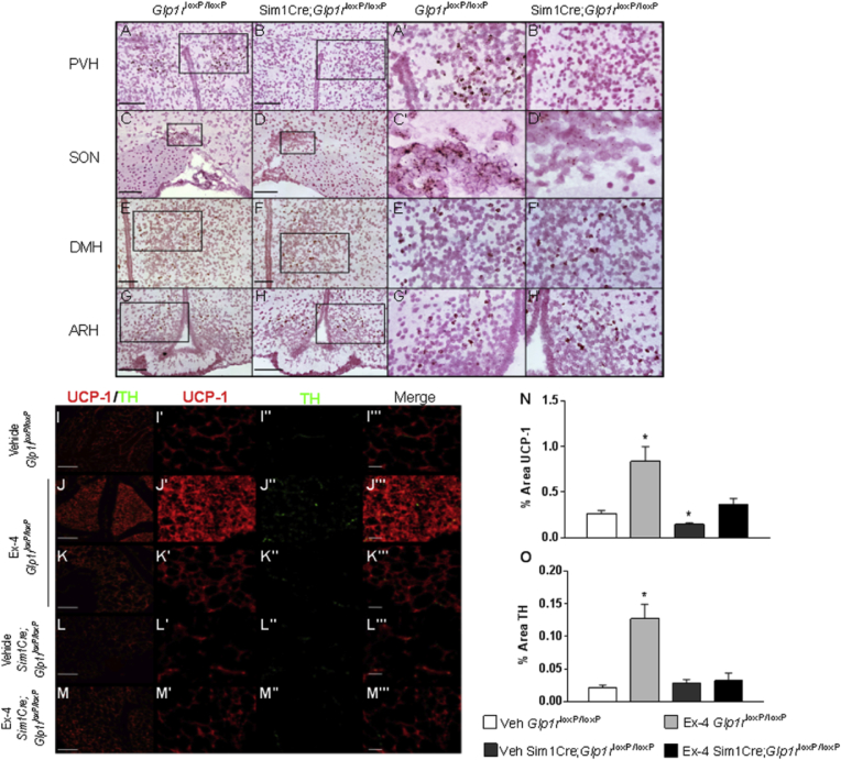 Figure 6