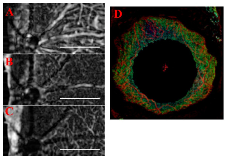 Figure 15