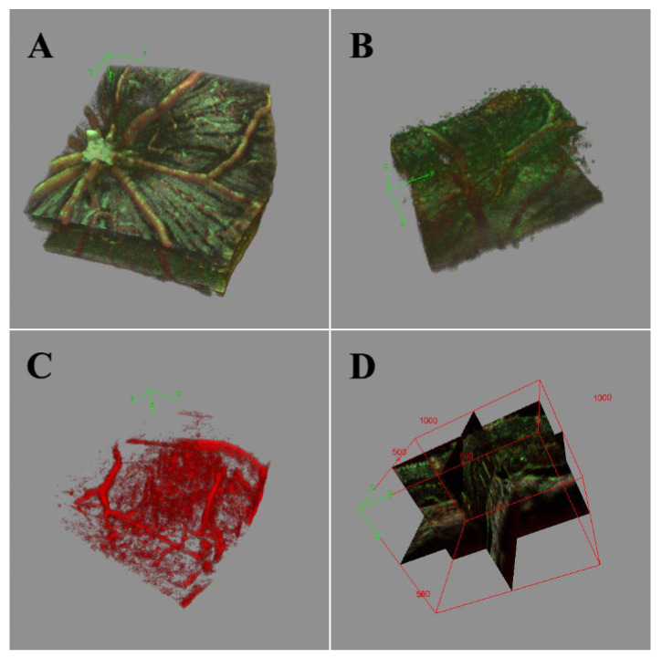 Figure 13