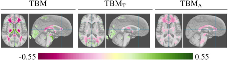 Fig. 11.