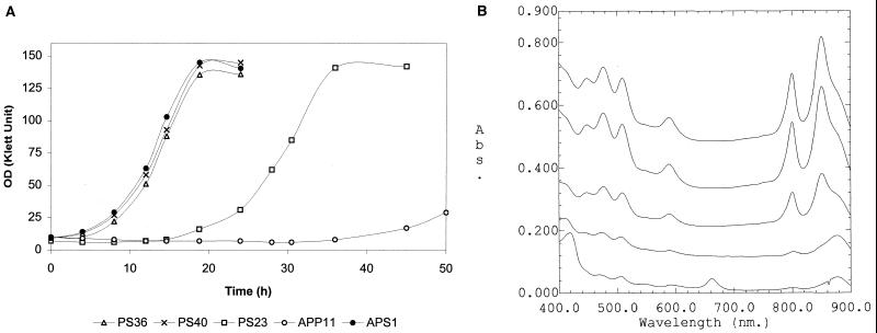 FIG. 1