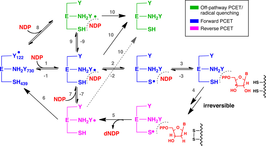 SCHEME 1