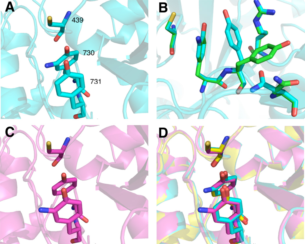 FIGURE 4