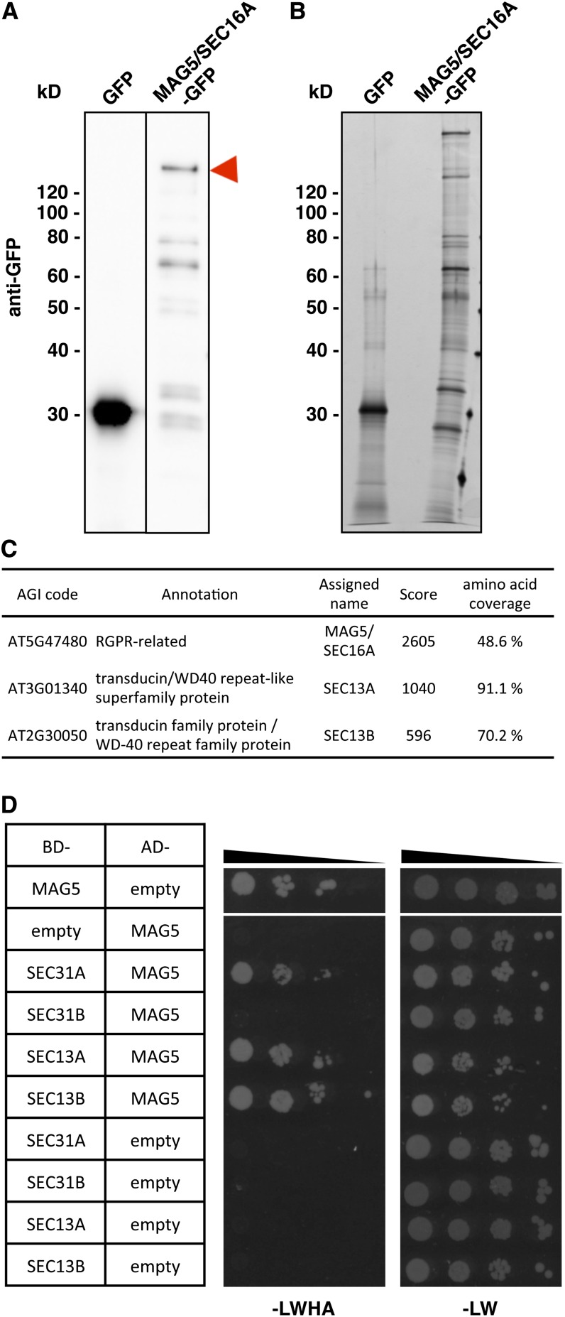 Figure 6.