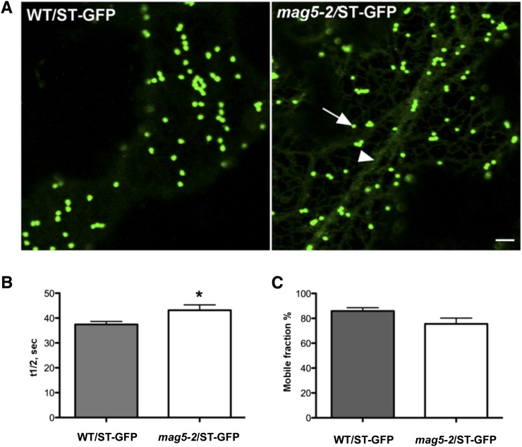 Figure 4.