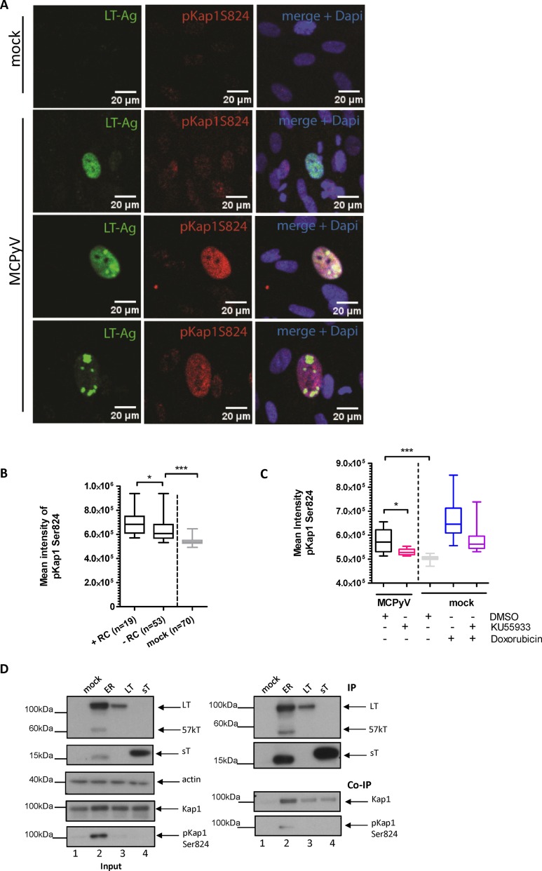 FIG 6