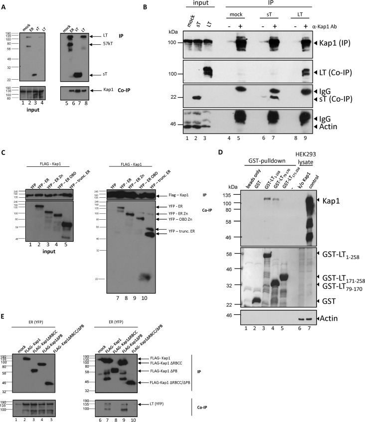 FIG 1