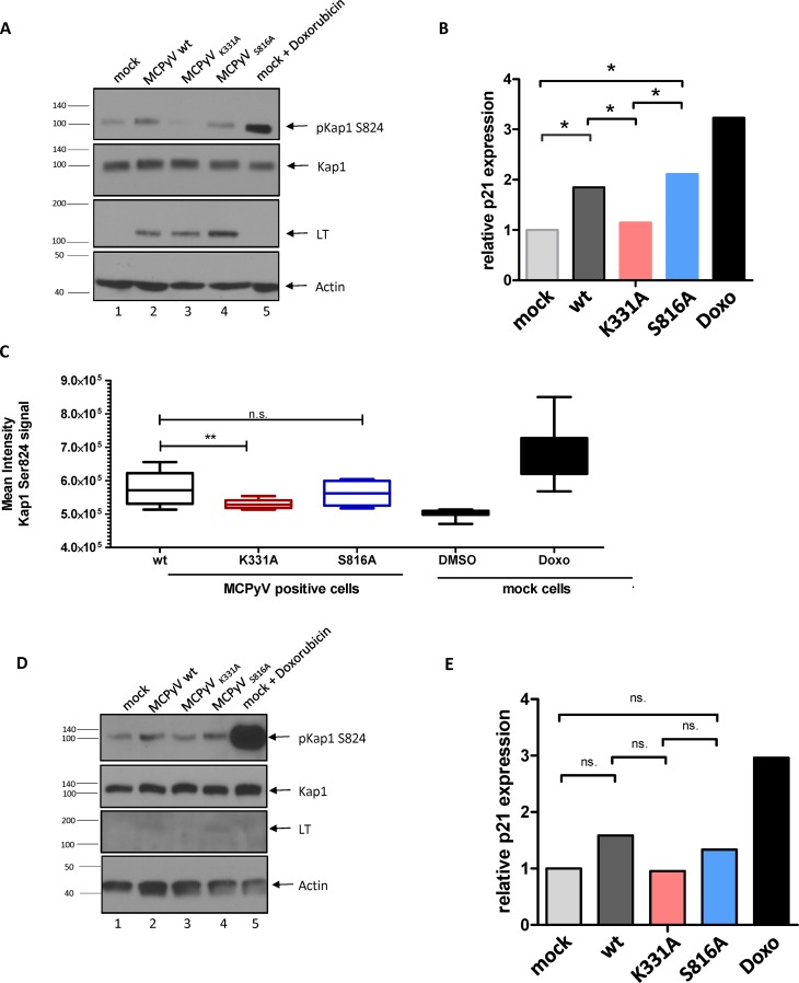 FIG 10