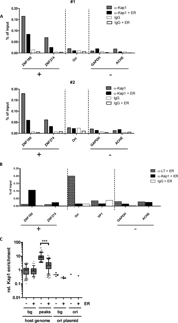 FIG 4