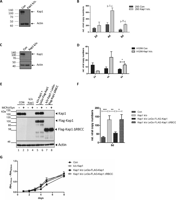 FIG 2