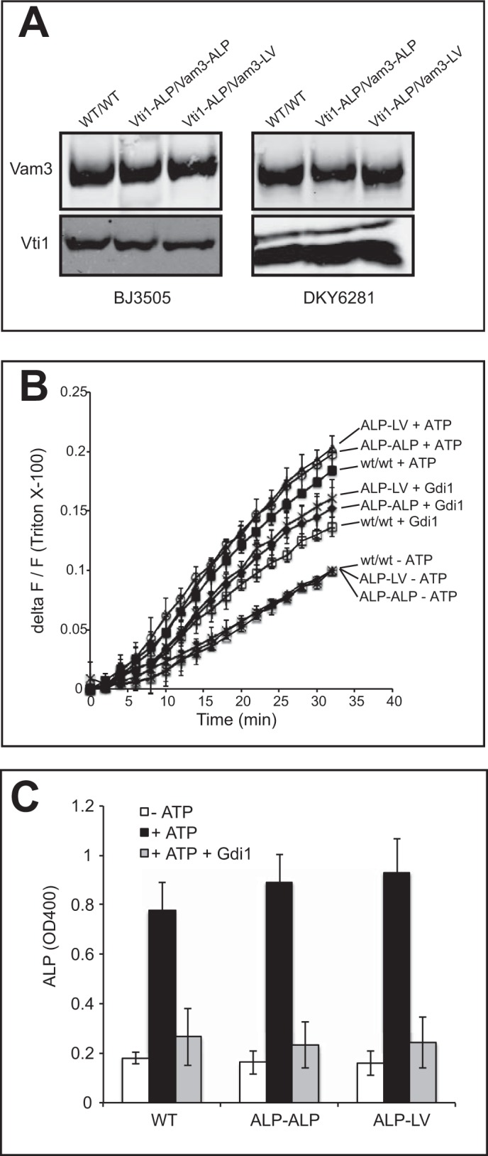 FIGURE 6.