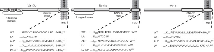 FIGURE 1.