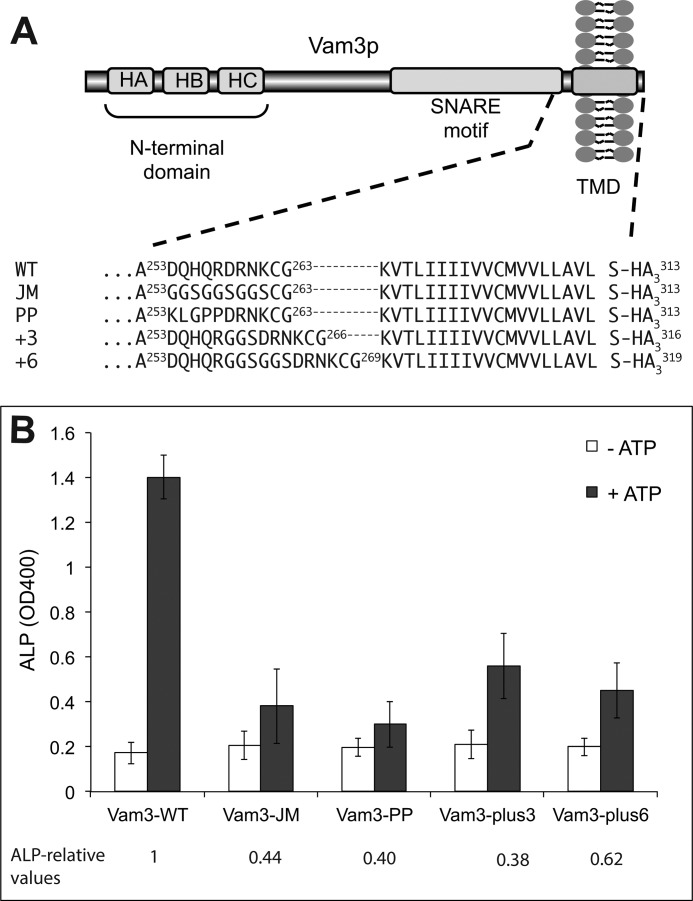 FIGURE 7.