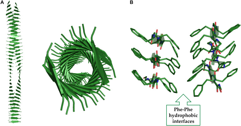 FIGURE 8