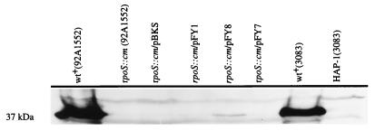 FIG. 7