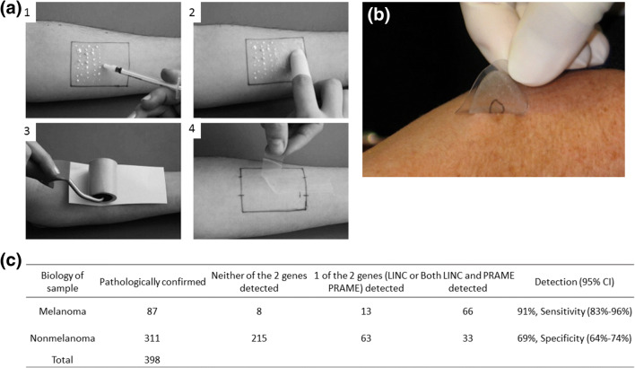 Fig. 10