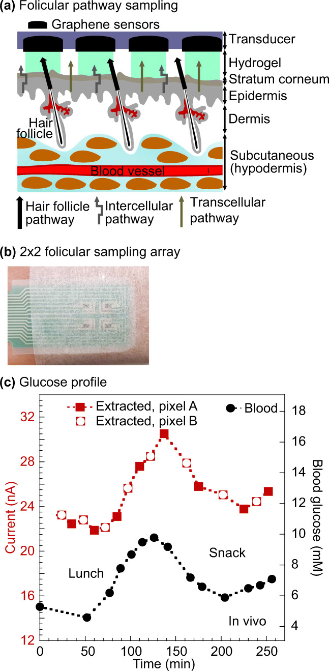 Fig. 13