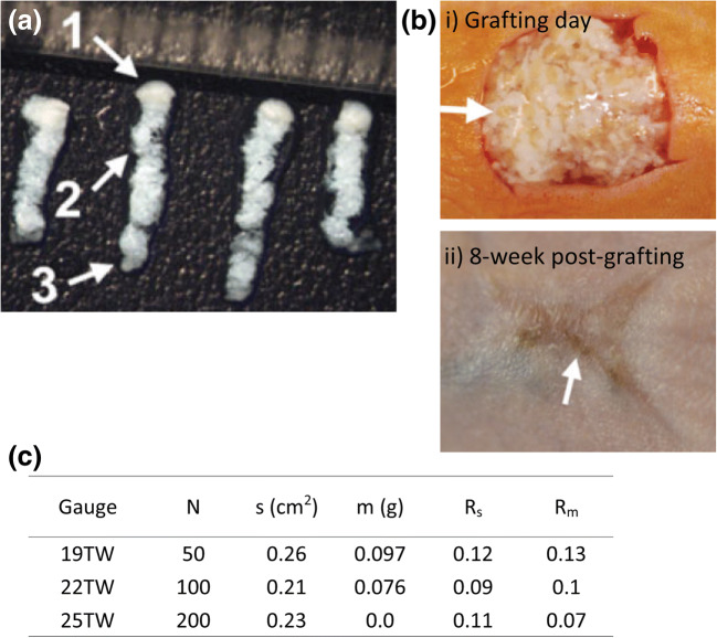 Fig. 11