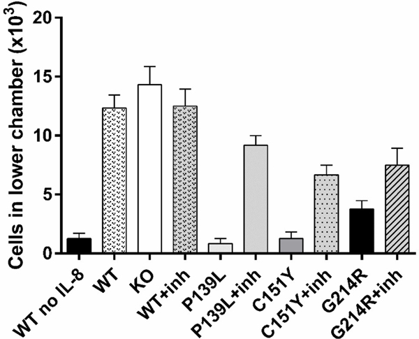 Figure 4: