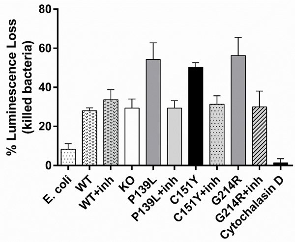 Figure 5: