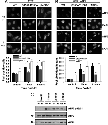 Fig 6