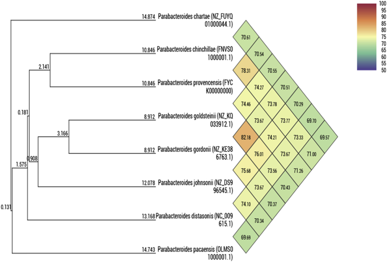 Fig. 4