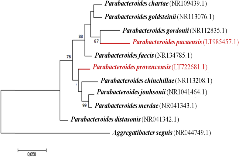 Fig. 3