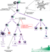 Graphical Abstract