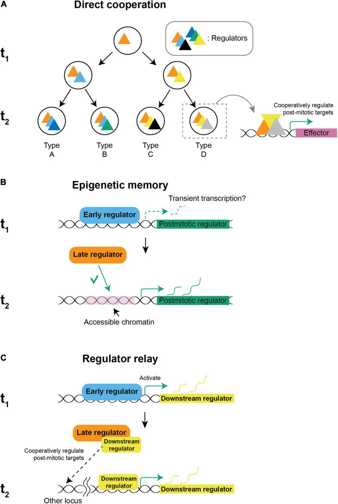 FIGURE 3