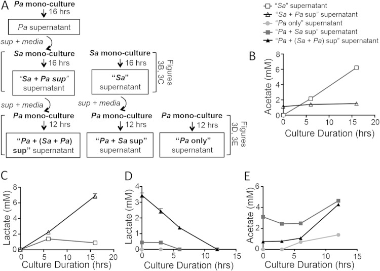 FIG 3