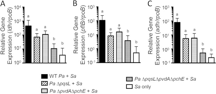 FIG 5