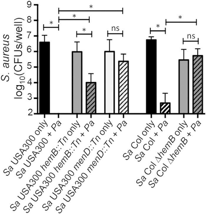 FIG 6