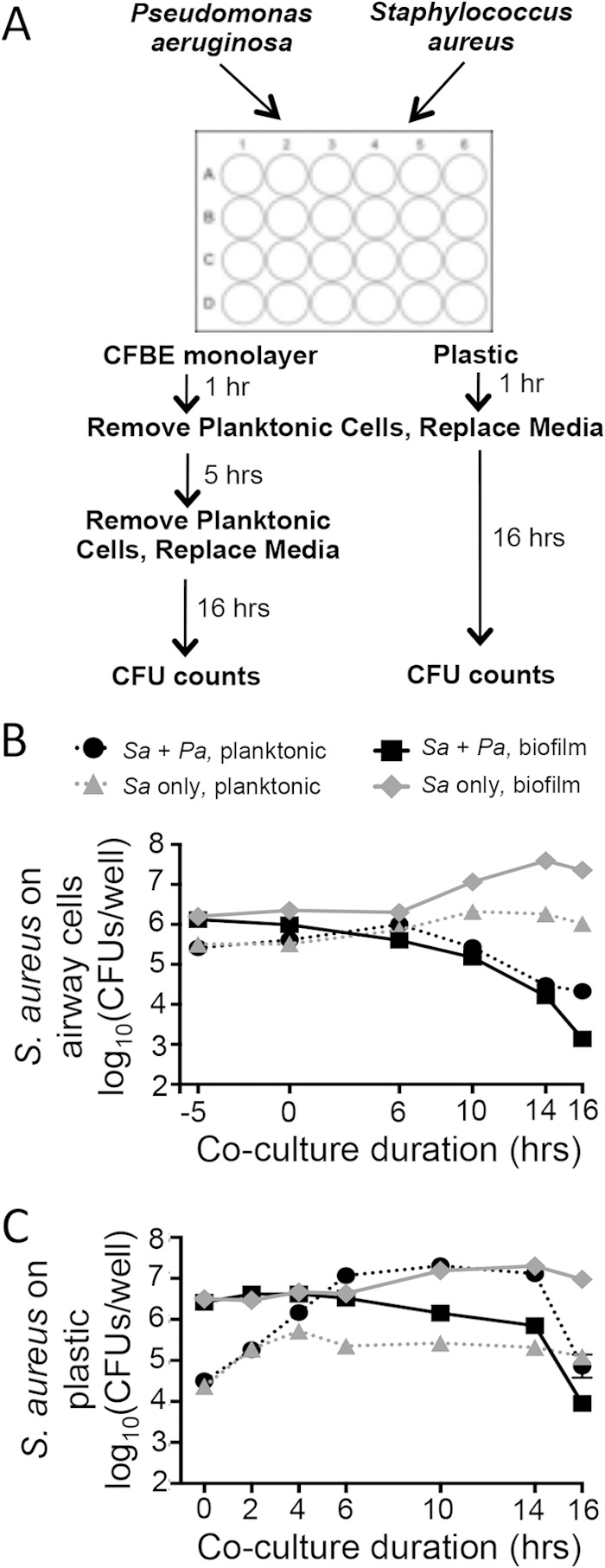 FIG 1