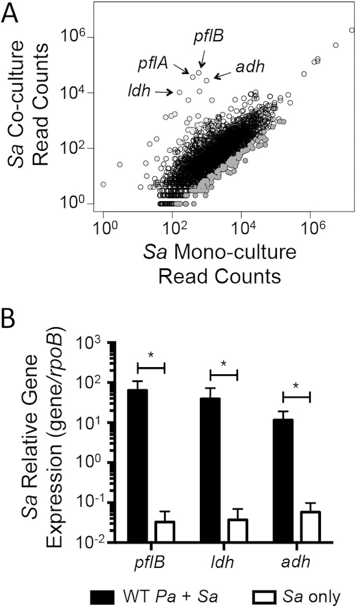 FIG 2