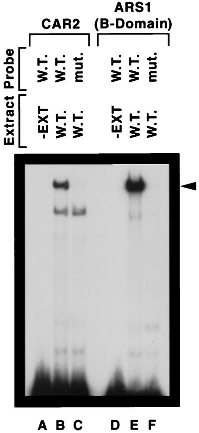 FIG. 5