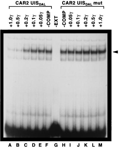 FIG. 10