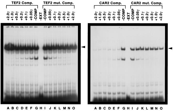 FIG. 8