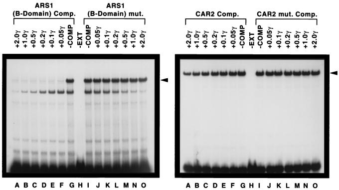 FIG. 6