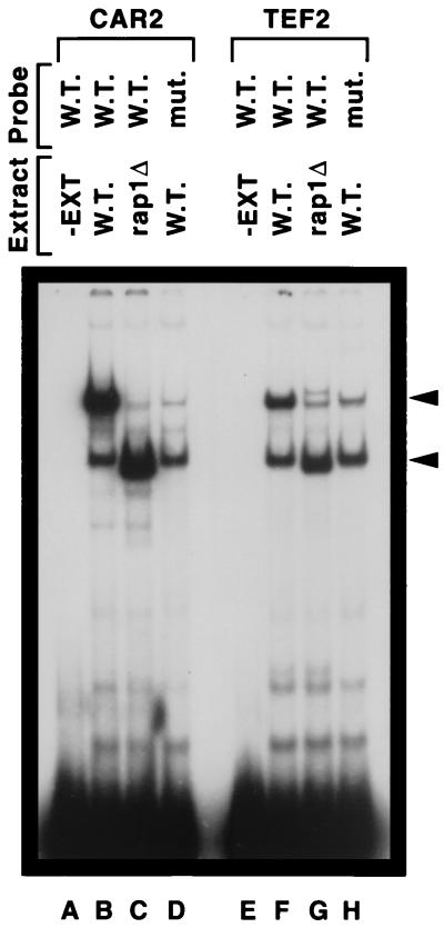 FIG. 7