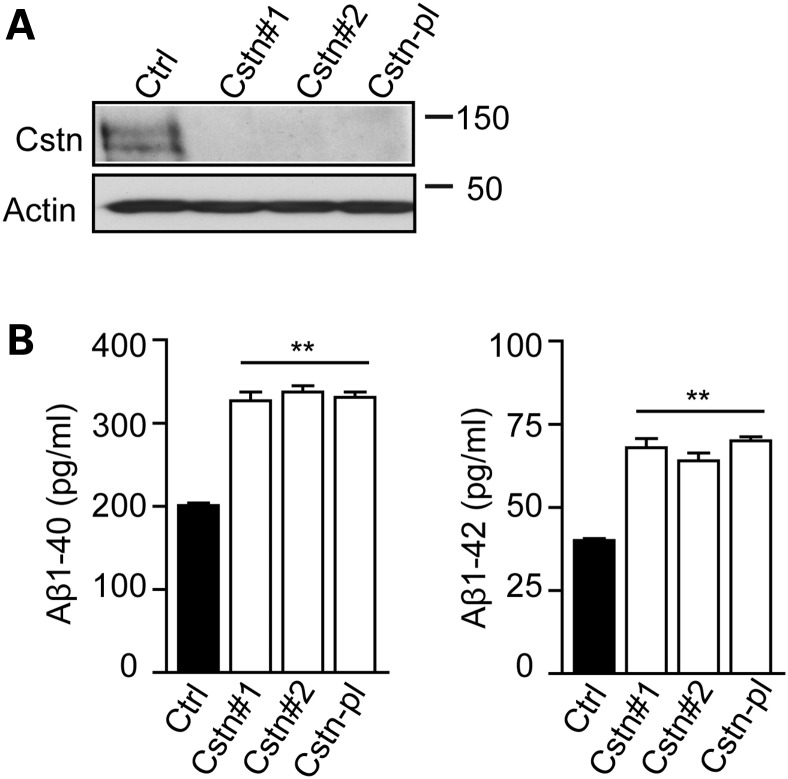 Figure 1.