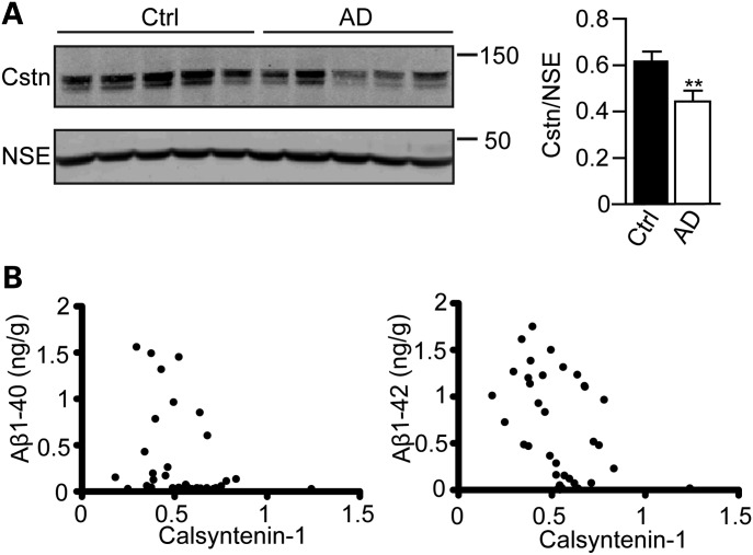 Figure 6.